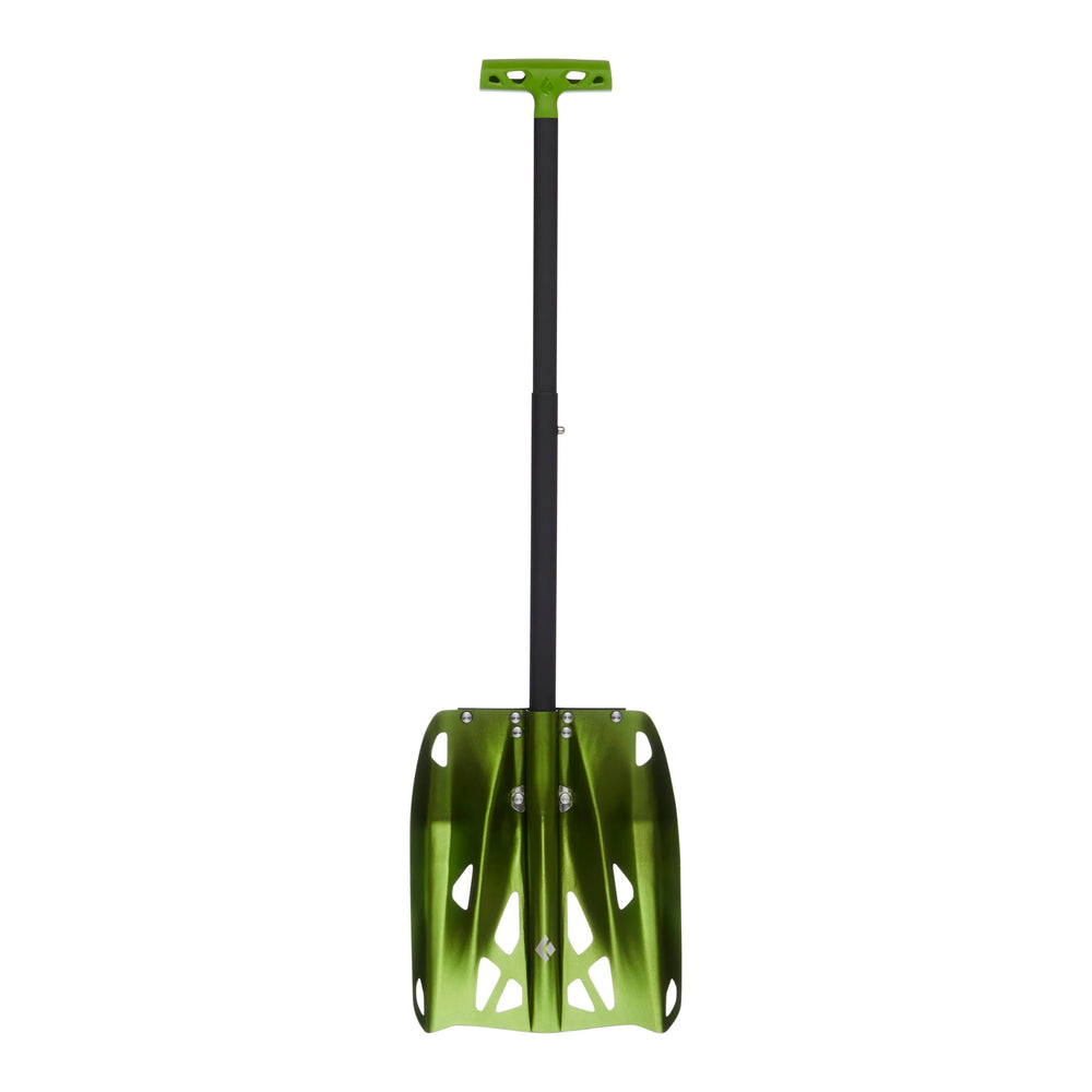 Envy Green
