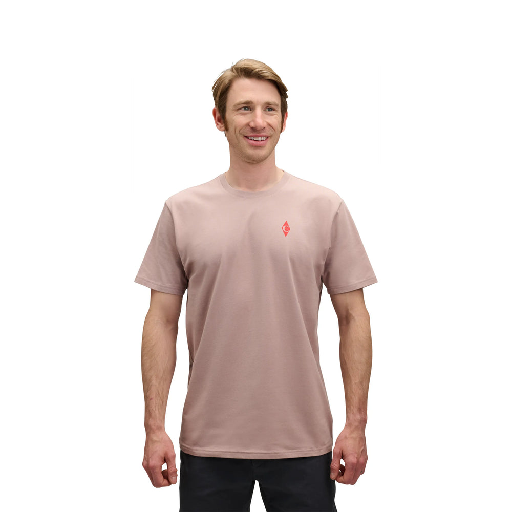 Pale Mauve