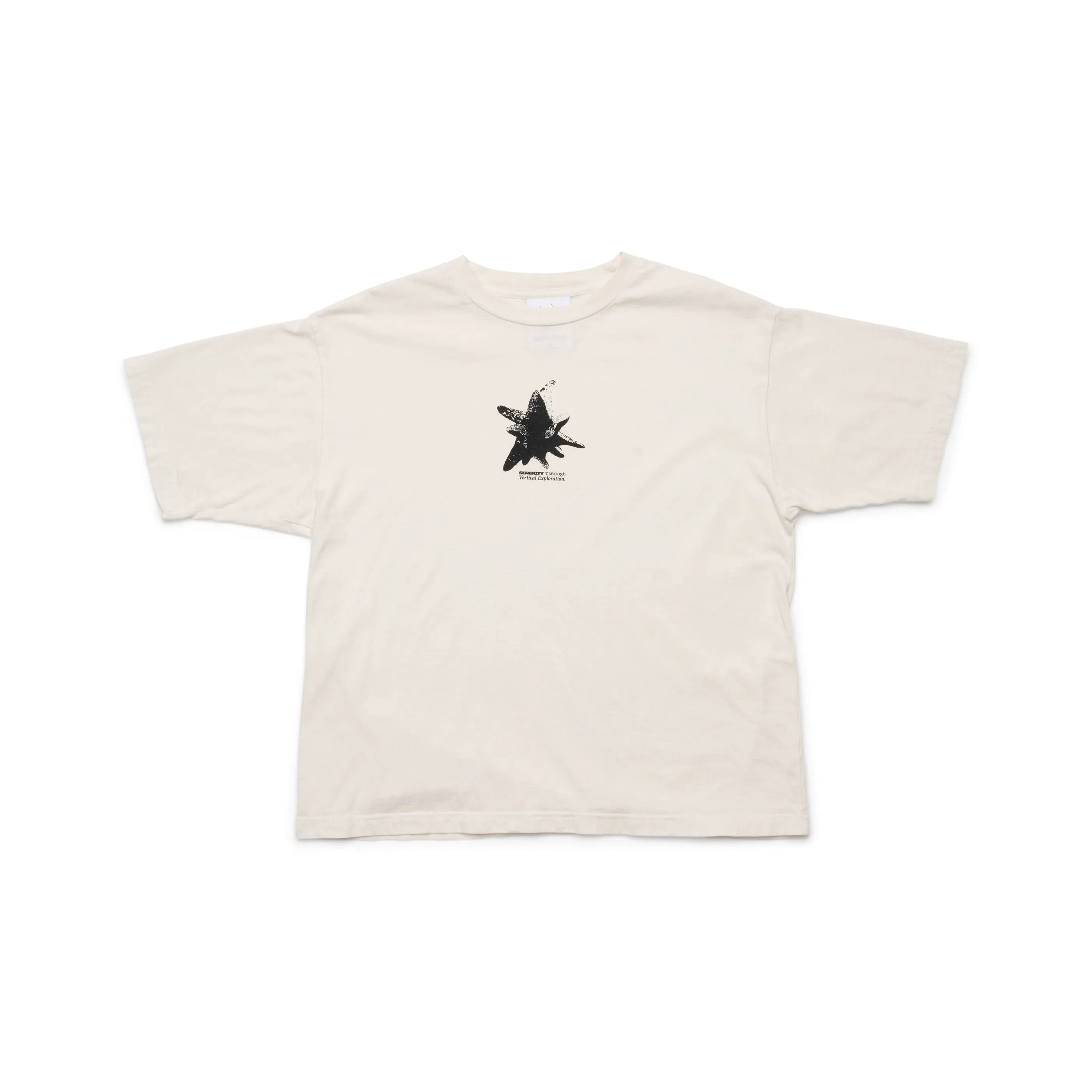 Lunar Rock