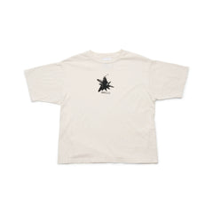 Lunar Rock