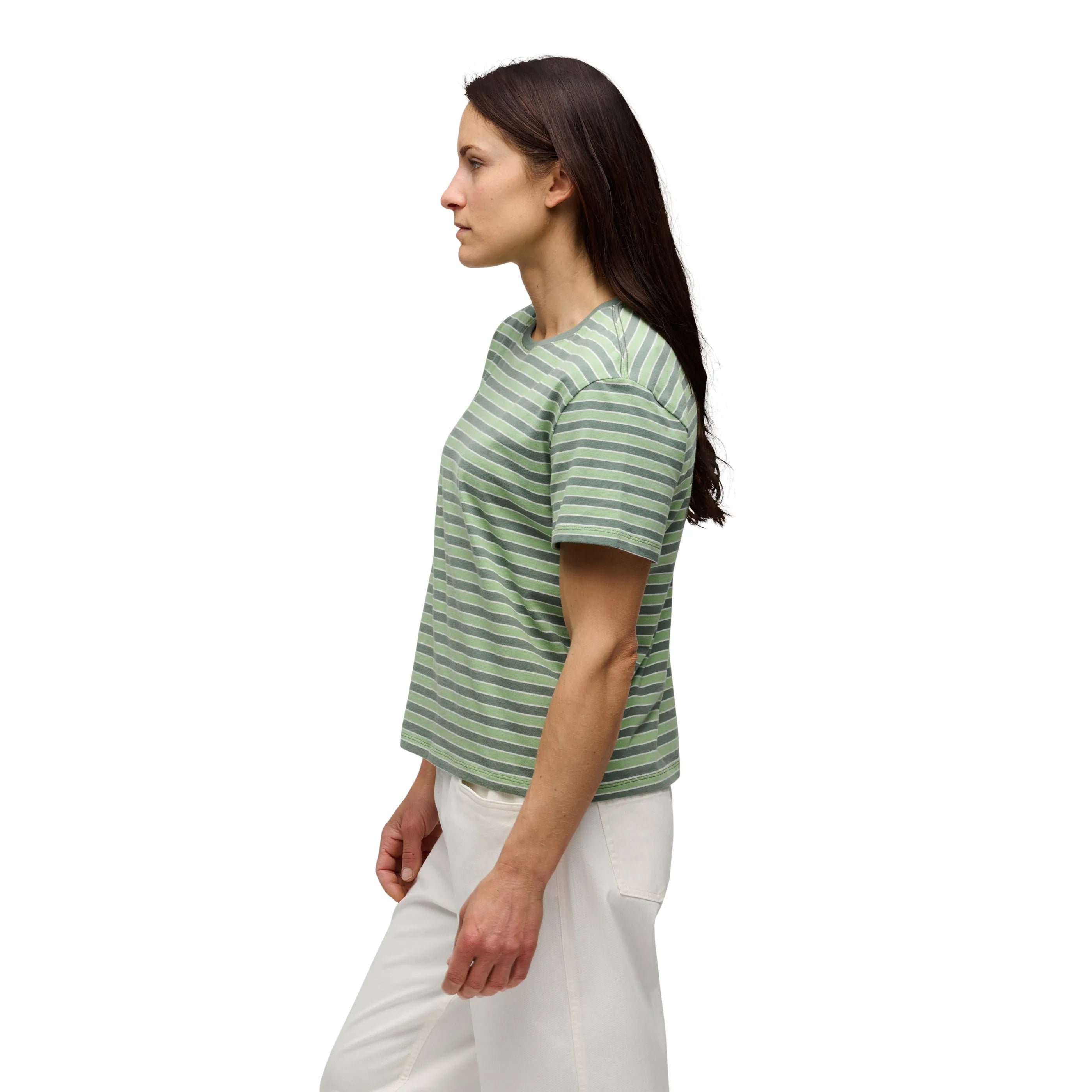 Laurel Green-Desert Sage-Alloy