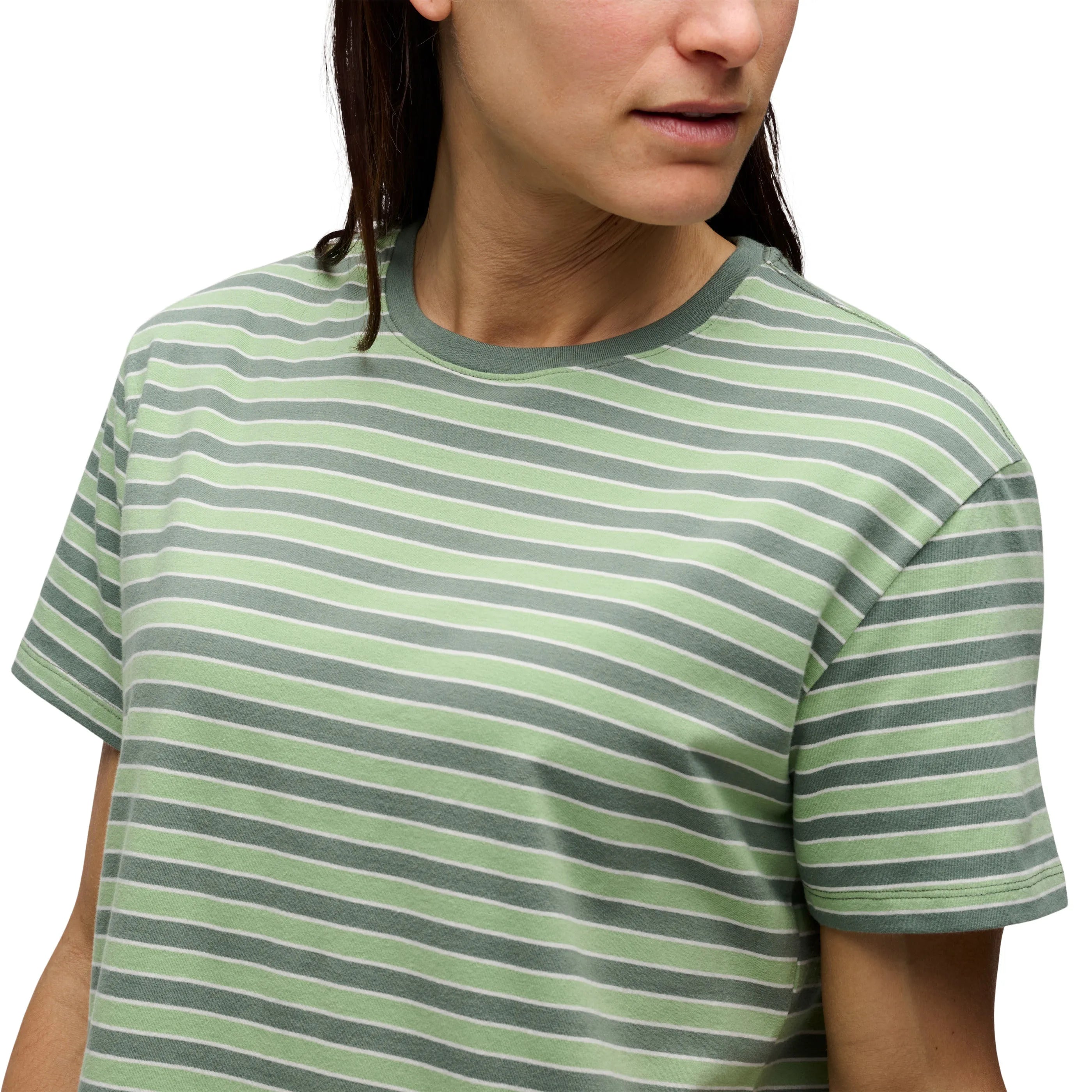 Laurel Green-Desert Sage-Alloy