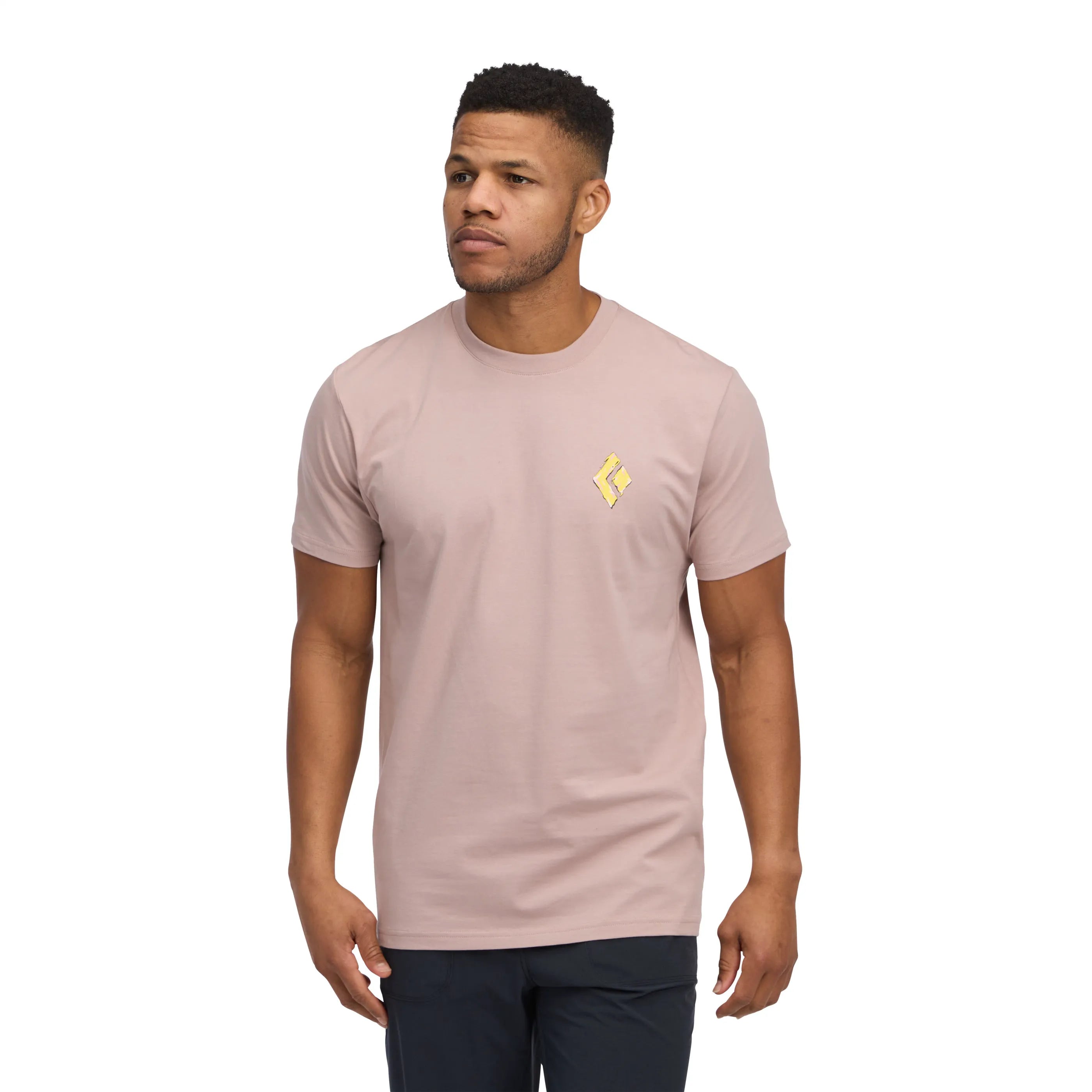 Pale Mauve
